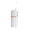 200ml Water Dental Flosser IPX7 Waterproof Oral Irrigator USB Rechargeable Water Teeth Picks with 4PCS Nozzle